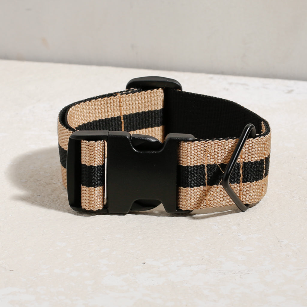 The City Dog Collar