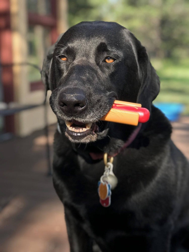 Hot Dog Dog Toy for Aggressive Chewers | American made