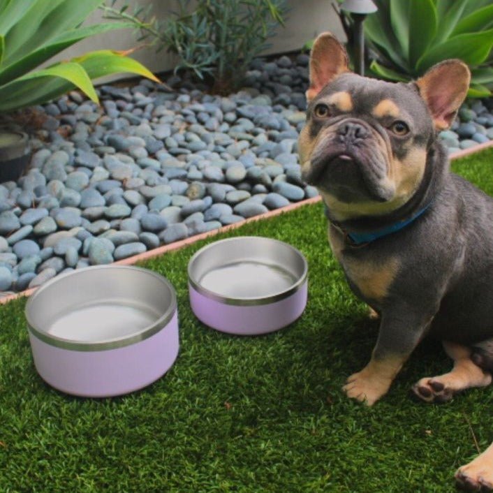 Tilley + Me Stainless Steel Pet Bowl, Dishwasher Safe | 32oz and 64oz