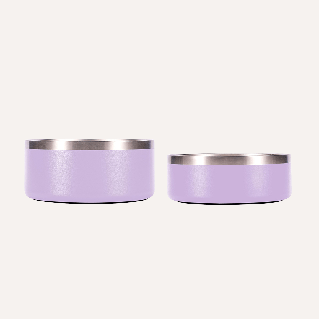 Tilley + Me Stainless Steel Pet Bowl, Dishwasher Safe | 32oz and 64oz