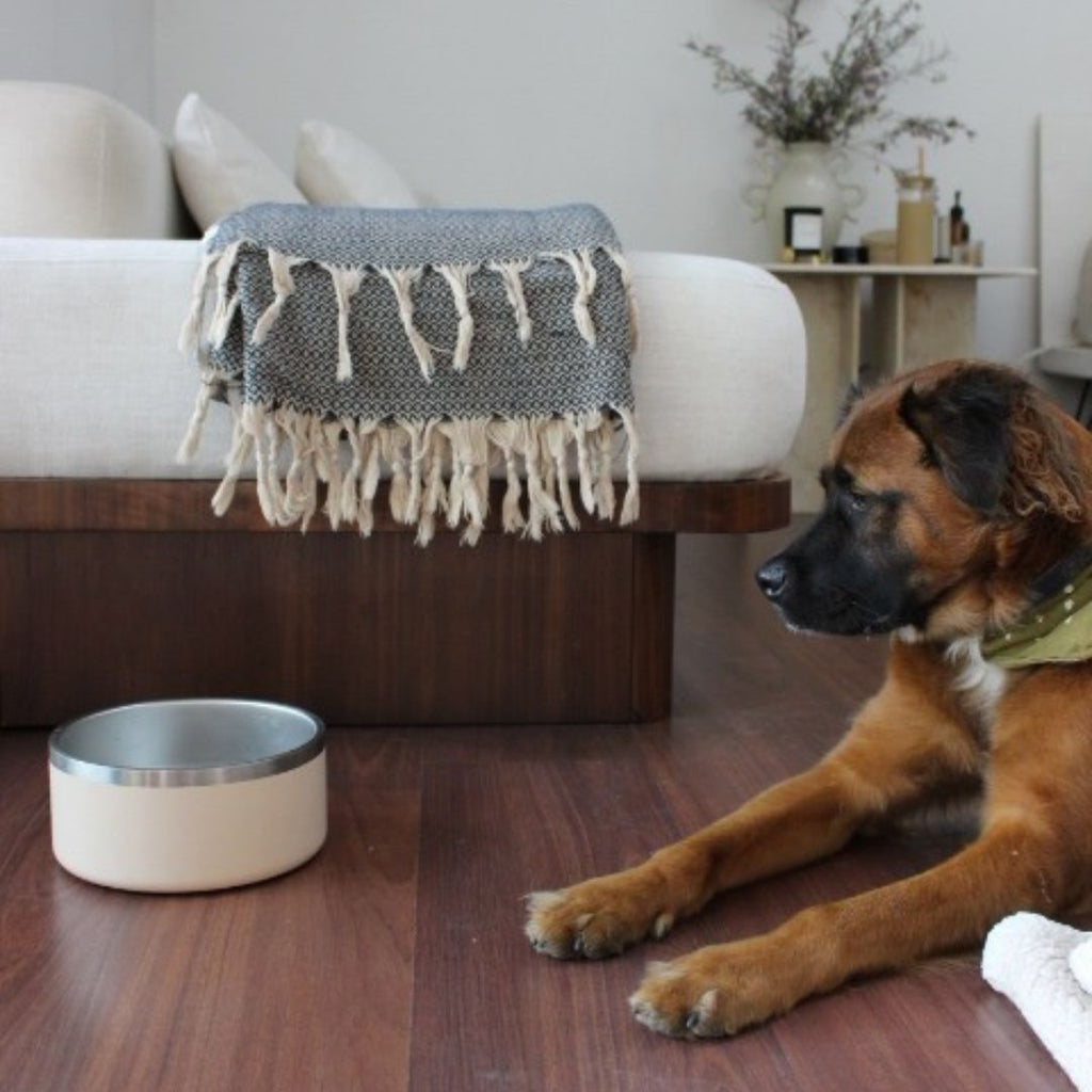 Tilley + Me Stainless Steel Pet Bowl, Dishwasher Safe | 32oz and 64oz
